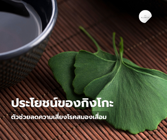 ประโยชน์ของกิงโกะ