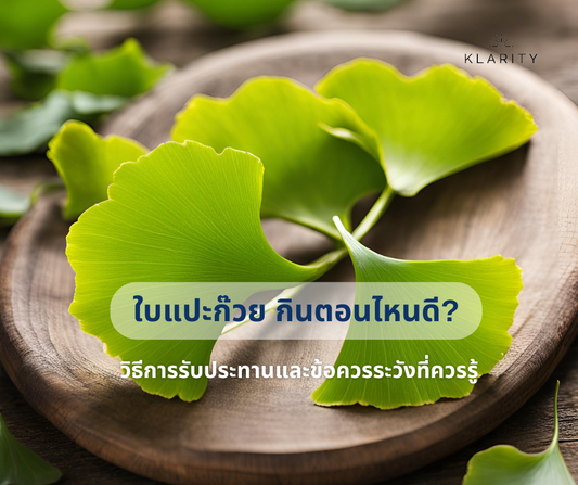 ใบแปะก๊วย กินตอนไหนดี