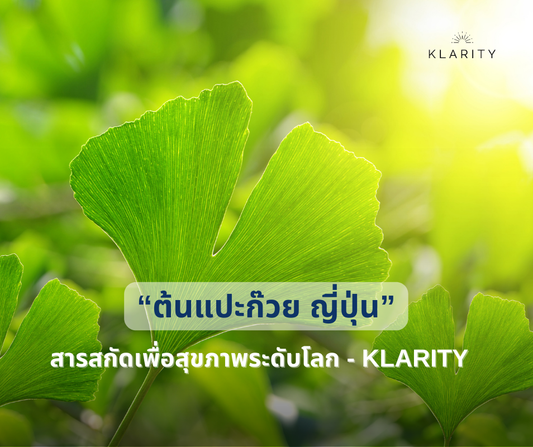 สารสกัดจาก “ต้นแปะก๊วย ญี่ปุ่น” ทางเลือกเพื่อสุขภาพที่ KLARITY เลือกใช้
