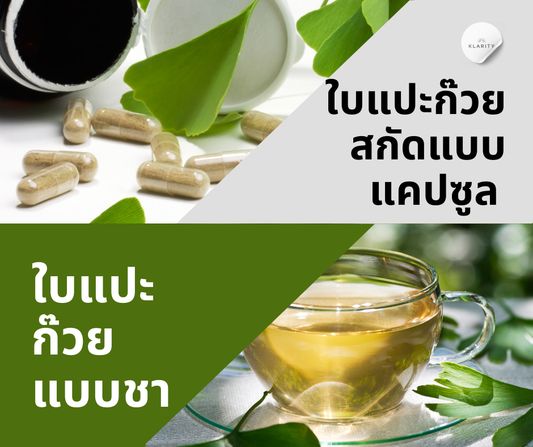 ใบแปะก๊วยสกัดแบบแคปซูล vs ใบแปะก๊วยแบบชา