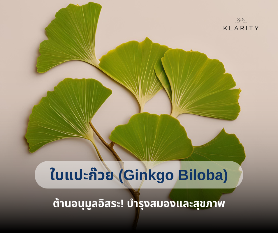 ใบแปะก๊วย (Ginkgo Biloba) ต้านอนุมูลอิสระ! บำรุงสมองและสุขภาพ