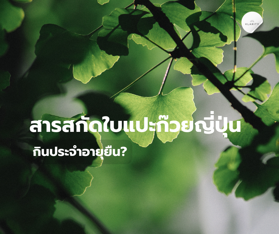 สารสกัดใบแปะก๊วยญี่ปุ่น! กินประจำอายุยืน