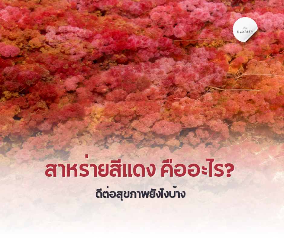 สาหร่ายสีแดงคืออะไร? ดีต่อสุขภาพยังไงบ้าง?