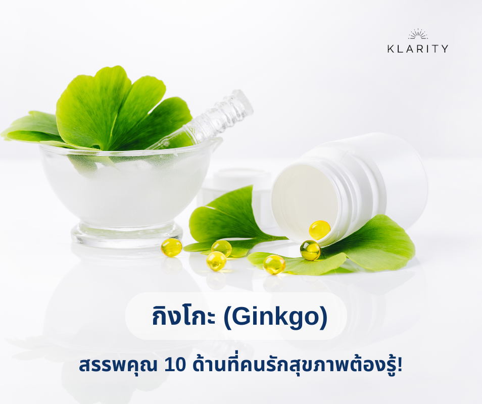 กิงโกะ (Ginkgo) สรรพคุณเด่น 10 ประการที่ต้องรู้