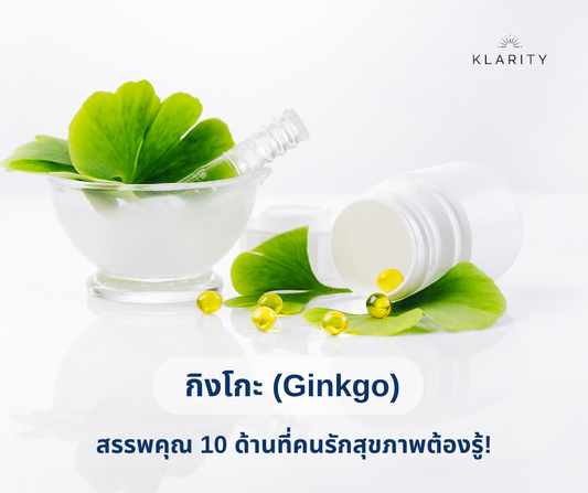 กิงโกะ (Ginkgo) สรรพคุณเด่น 10 ประการที่ต้องรู้
