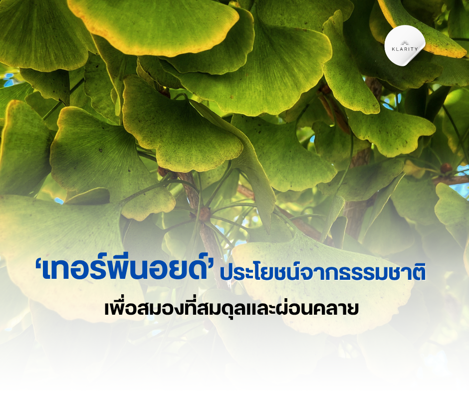 เทอร์พีนอยด์ ประโยชน์ต่อสมองและร่างกาย