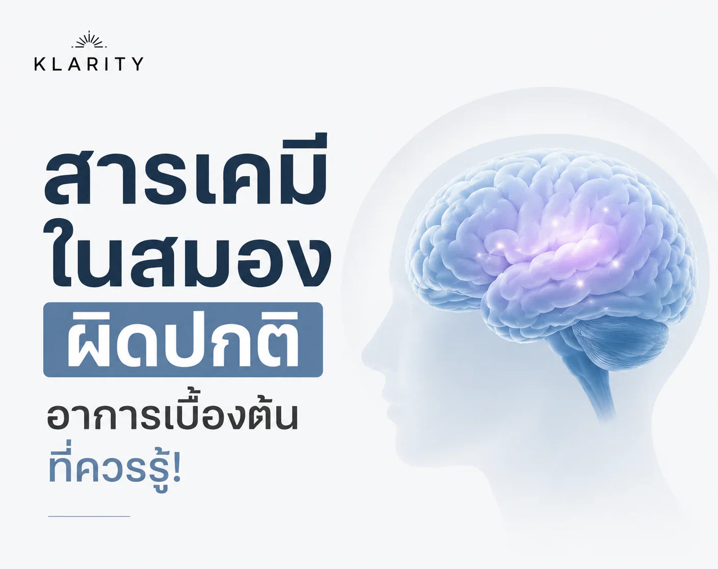 สารเคมีในสมอง ผิดปกติ อาการ