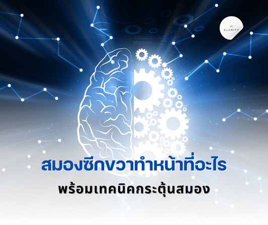 สมองซีกขวาทำหน้าที่อะไร