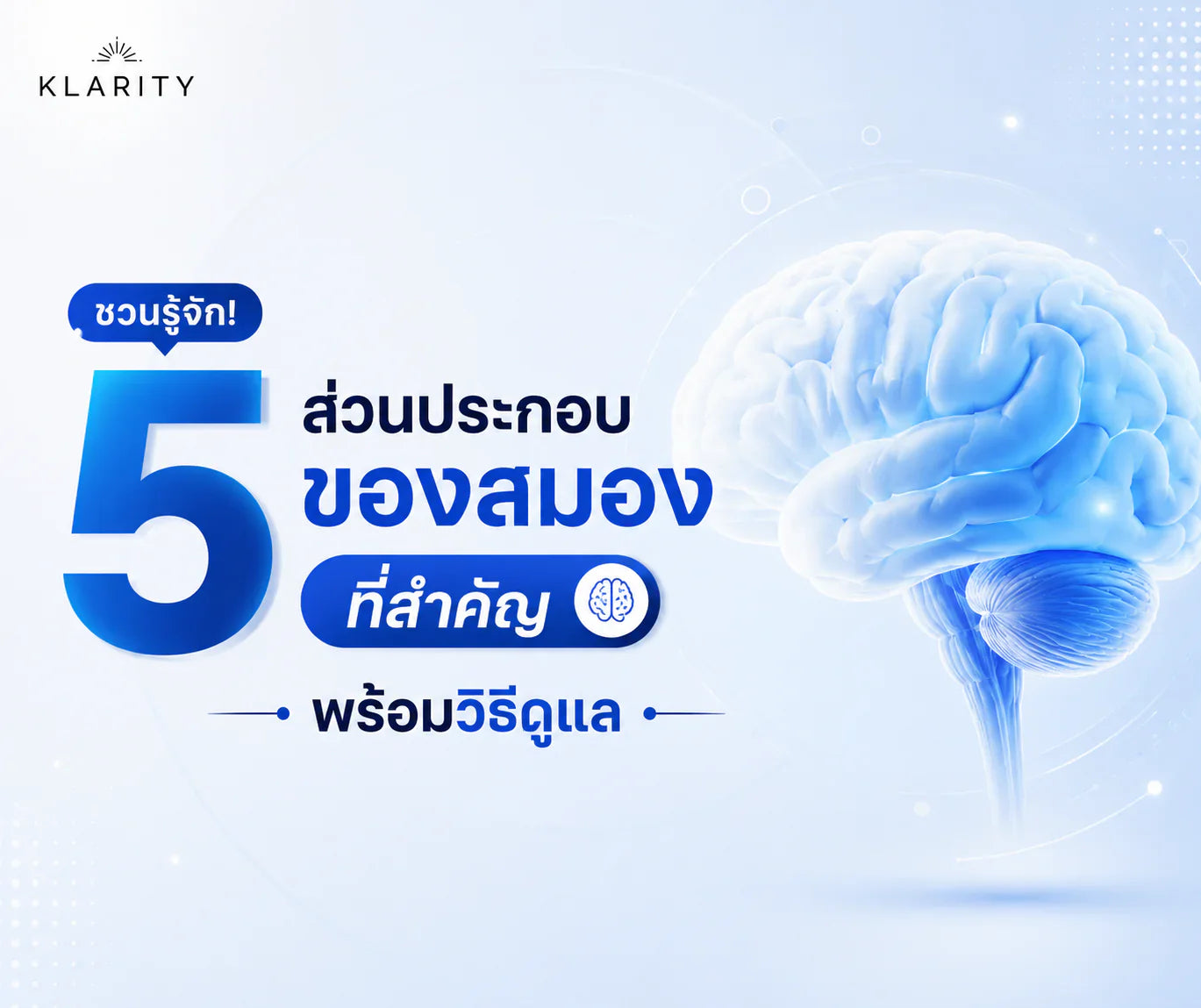 5 ส่วนประกอบของสมองที่สำคัญ