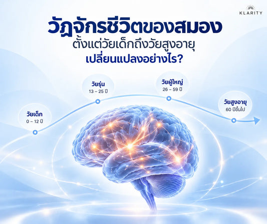 วัฏจักรชีวิตของสมอง