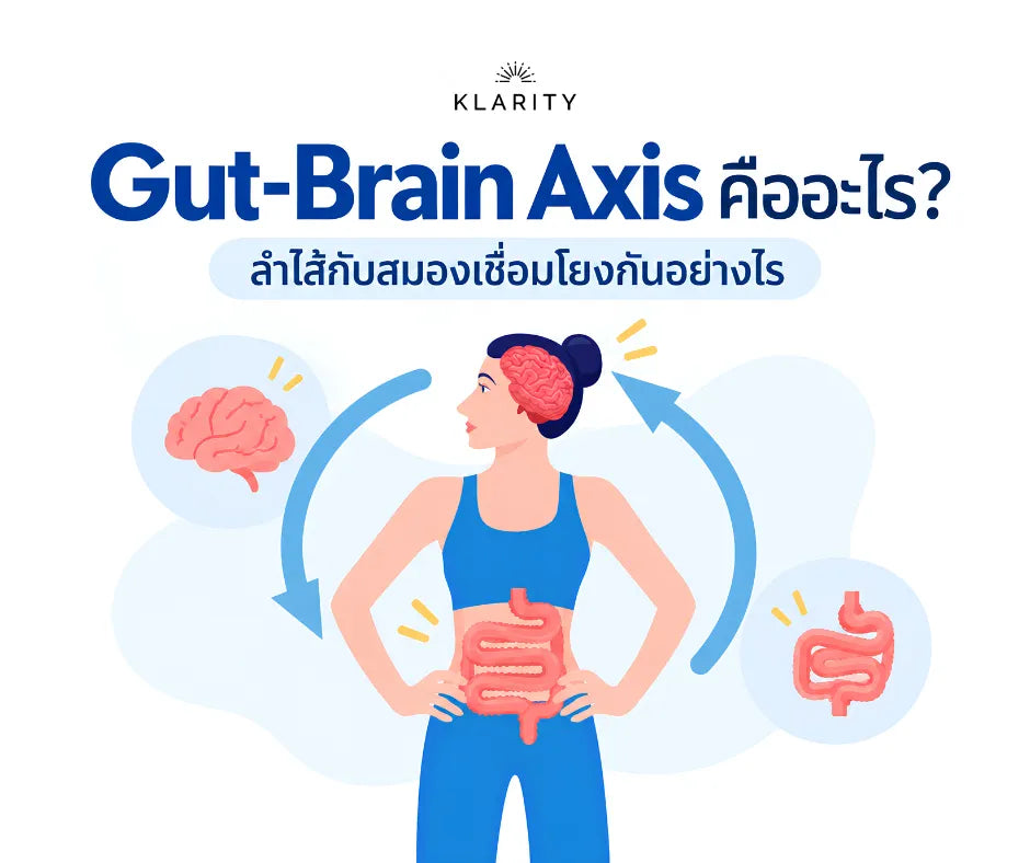 Gut-Brain Axis คืออะไร