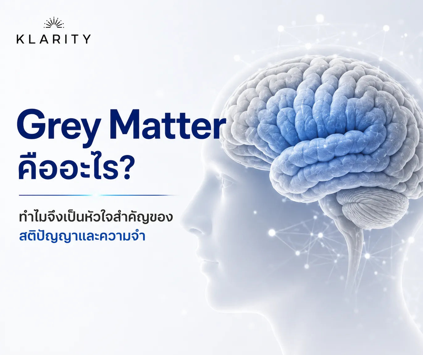 what is grey matter