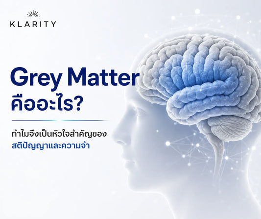 what is grey matter