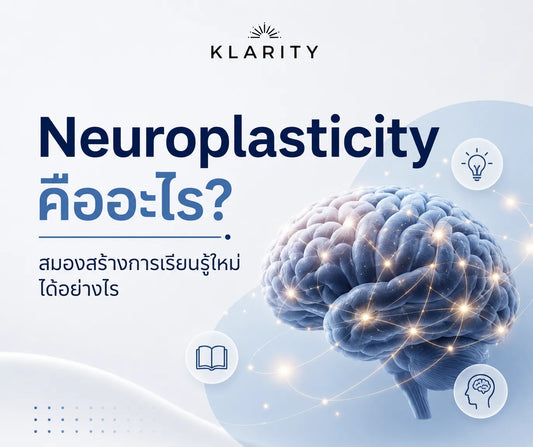Neuroplasticity