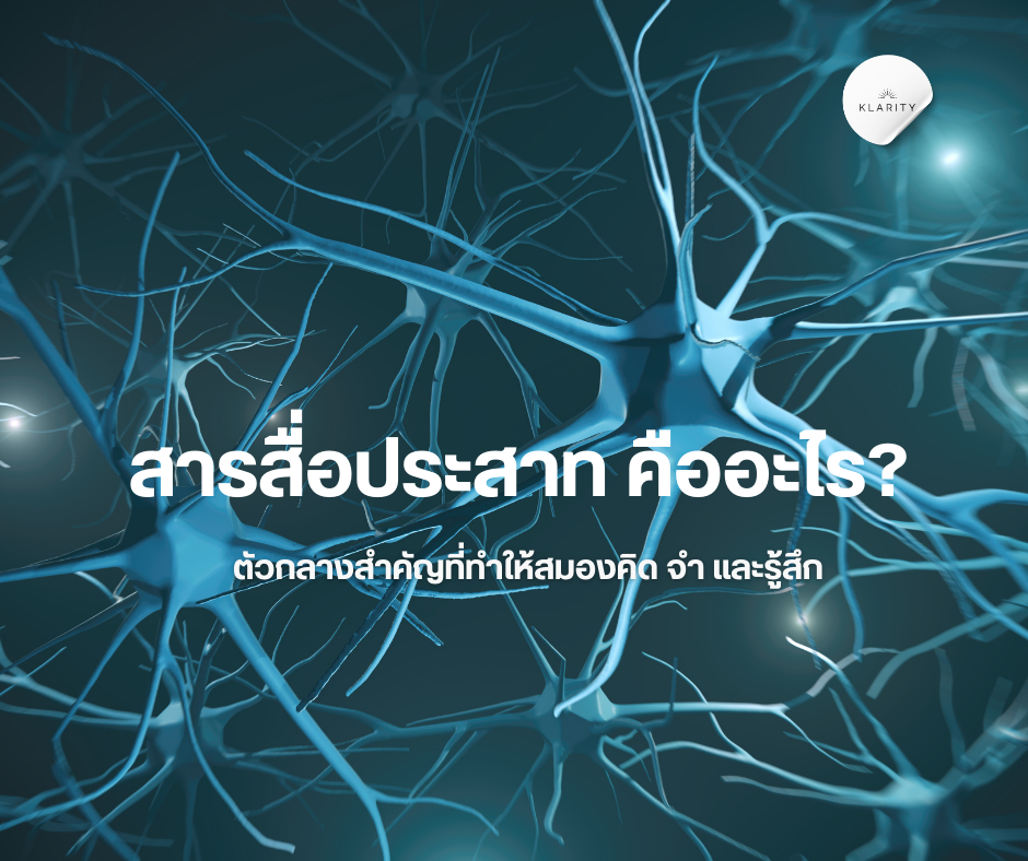 สารสื่อประสาท คืออะไร