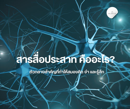สารสื่อประสาท คืออะไร